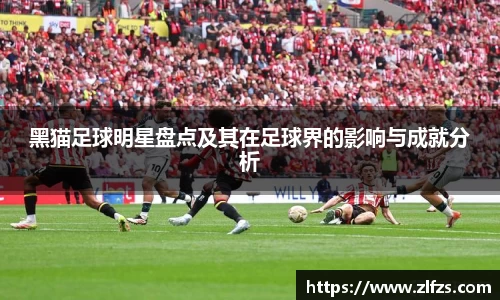 黑猫足球明星盘点及其在足球界的影响与成就分析